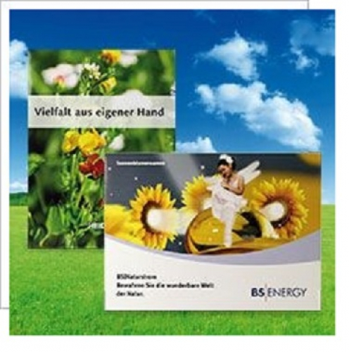 Samentte Sommerblumen gro 115x156mm 4-farbig bedruckt